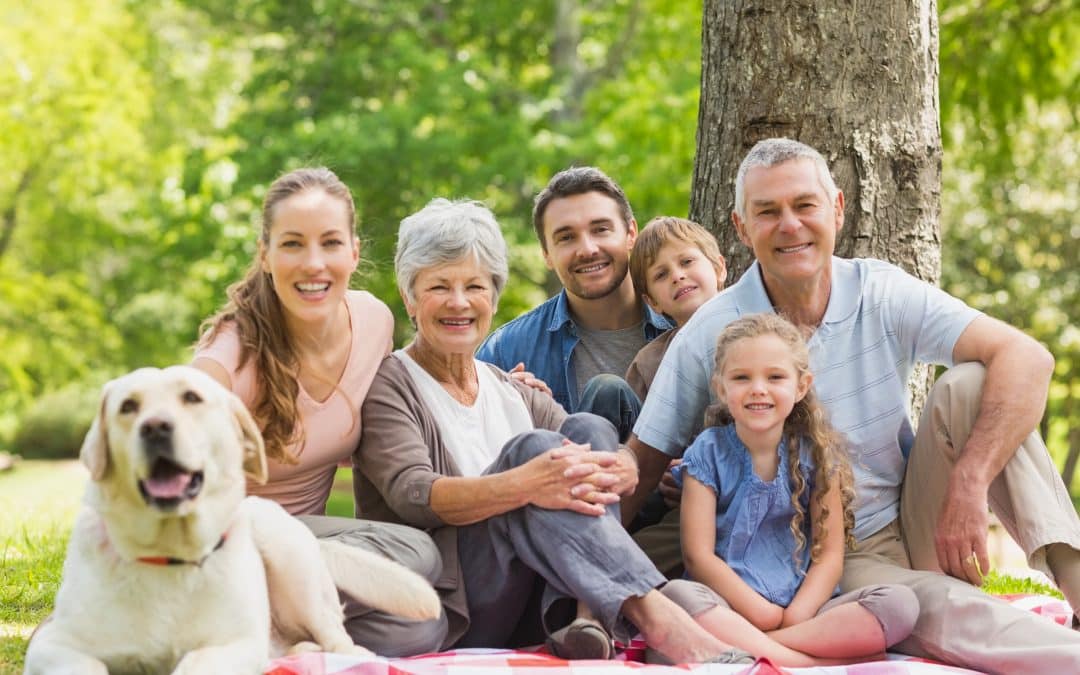Holistic or Palliative Care?